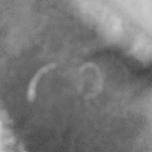 MEN'S OPFLEX OP 4-WAY STRETCH SHORTS SIZE 36 - Picture 5 of 8